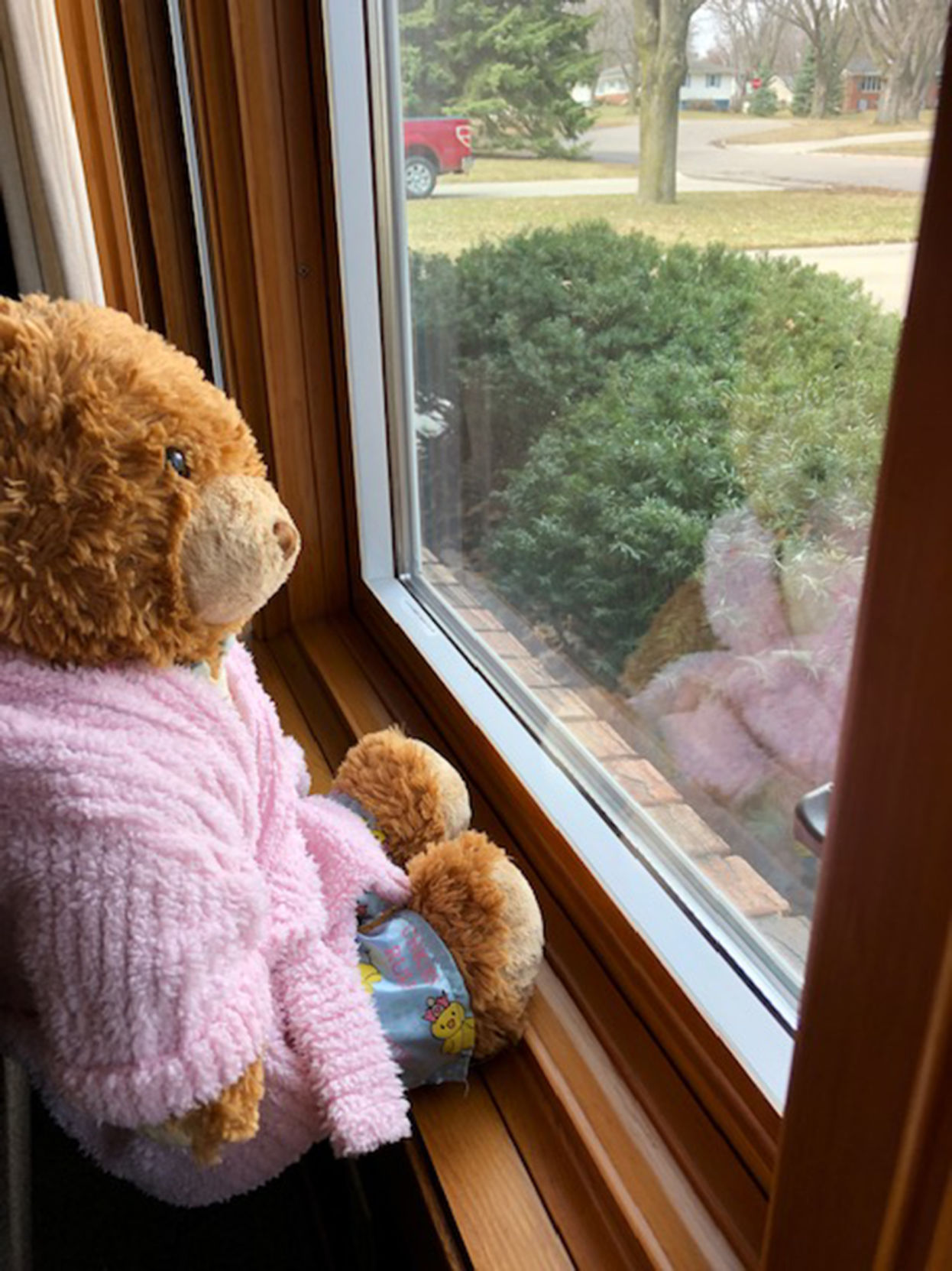 Bear hunt 3